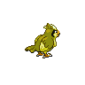 pidgey sprite