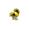 spearow sprite